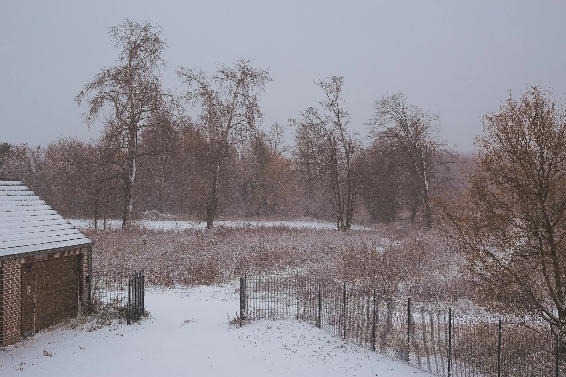 Winter view of the holiday home and garden