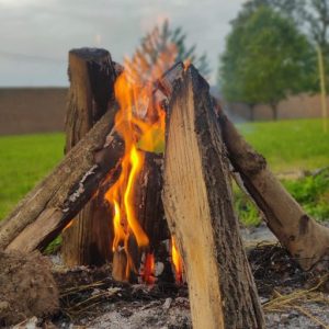 Feu de camp dans le jardin